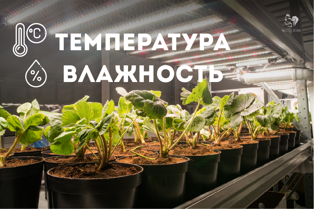 Гроубокс вертикальный секционный горшок для растений набор для выращивания растений